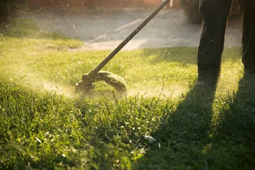 Fotobehang Oranje Lawn mover on green grass. Machine for cutting lawns.  © erika8213