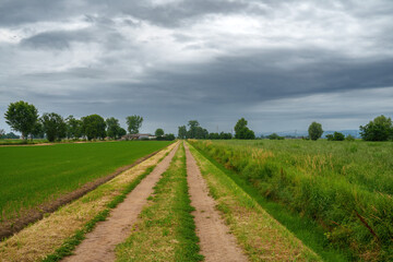 Fototapeta na wymiar Rural landscape near Prado, Pavia province
