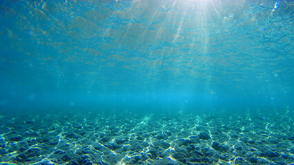 Fototapeta na wymiar underwater ocean sea deep blue coral background