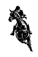 equestrian, silhouette, illustration, vector, animal, horse, horse svg, black, stallion, isolated, clipart, cut file, white, equine, sport, split monogram, png, horse silhouette, circle monogram, eps,
