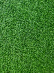 green grass pattern texture,green grass background ,top view background of grass garden, green backdrop, lawn for football field, golf course lawn