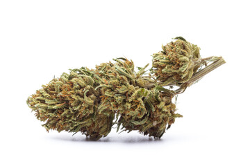 Cannabis flower isolated on white background
