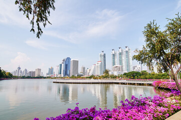 Modern megalopolis. City park with skyscrapers on the background. Bangkok Thailand.