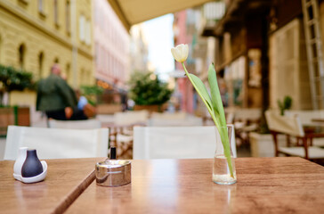 Outdoor restaurant summer terrace. Street cafe table with a tulip flower in europian old town.