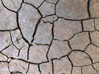dry cracked earth