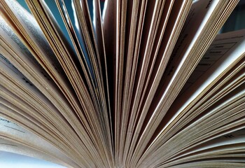 Pages of book