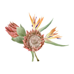 hand drawn tropical floral sticker collection