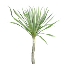 hand drawn tropical floral sticker collection