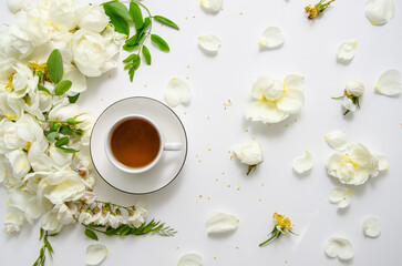 Delicate flower composition of tea with white roses and petals with acacia flowers on white background. Top view.