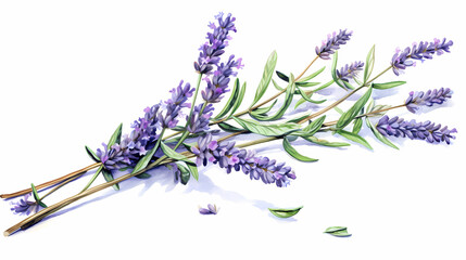 Drawing of lavender, Generative AI