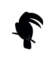 Vector flat toucan silhouette isolated on white background