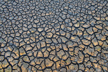 Cracks on the surface of the earth are altered by the shrinkage of mud due to drought