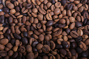 beans