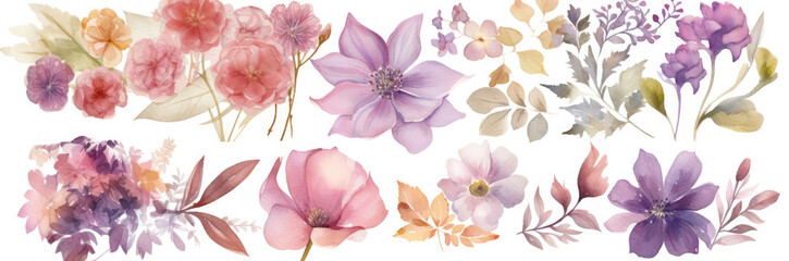 Fototapeta na wymiar a watercolor flower set with different colors