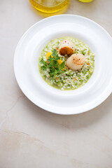 White plate with pea risotto and seared sea scallops, vertical shot on a beige marble background, elevated view