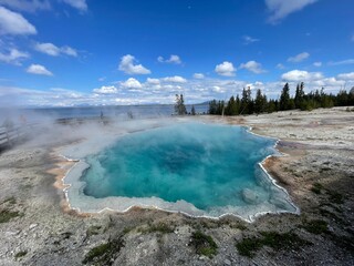 hot spring in Yellowstone national park