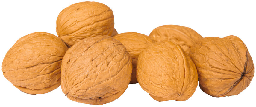 Walnuts no backgrount | Orzechy Włoskie bez tła