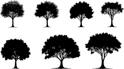 Majestic Black Vector Tree Silhouettes for Stunning Designs