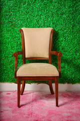 plano frontal de Silla café con plantas verdes de fondo