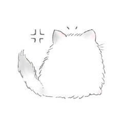 -Miri little cat being happy with her daily life