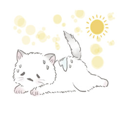 Miri little cat being happy with her daily life