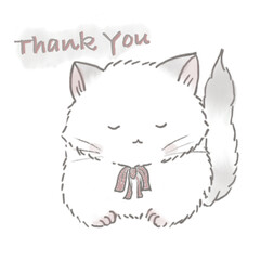 Miri little cat being happy with her daily life