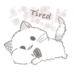 Miri little cat being happy with her daily life