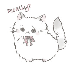 Happy Miri little cat