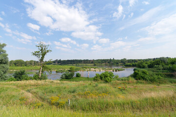 Island of the Saint-Mesmin National Nature Reserve in Loire valley