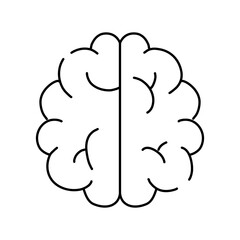 brain image for science and study