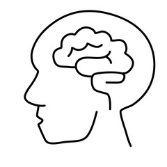 brain image for science and study