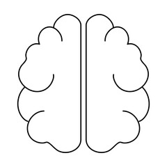 brain image for science and study
