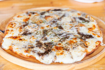 Pizza black truffle with cheese melting on wooden pizza plate.