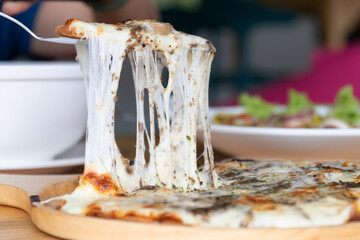 Pizza black truffle with cheese melting on wooden pizza plate.