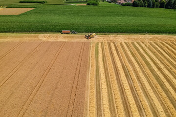 Harvesting scene in the italian countryside