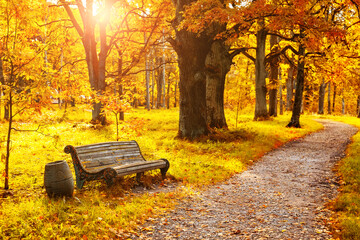 Old wooden bench in the autumn park under colorful autumn trees with golden leaves.