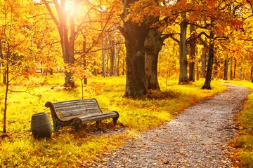 Tuinposter Old wooden bench in the autumn park under colorful autumn trees with golden leaves. © preto_perola