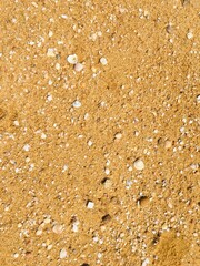 brown beach background