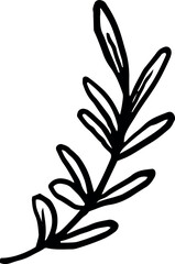 Branch with leaves for decoration and design.