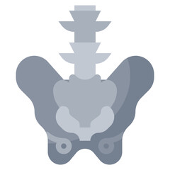 Fototapeta premium PELVIS line icon,linear,outline,graphic,illustration