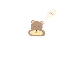 The bear so sleep 