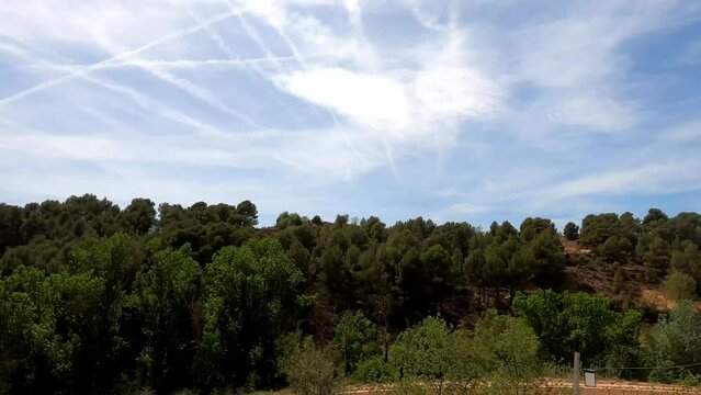 Agricultural area in France with vineyards and olive trees and blue sky with veil clouds