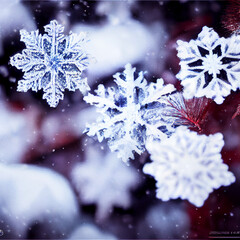 Snowflake from a close perspective