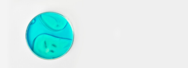 Petri dish on a light background. With blue or blue liquid. Water stains, oil drops. Laboratory glassware. study. Chemical elements.