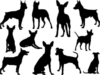 Set of Miniature Pinscher Dog Silhouette