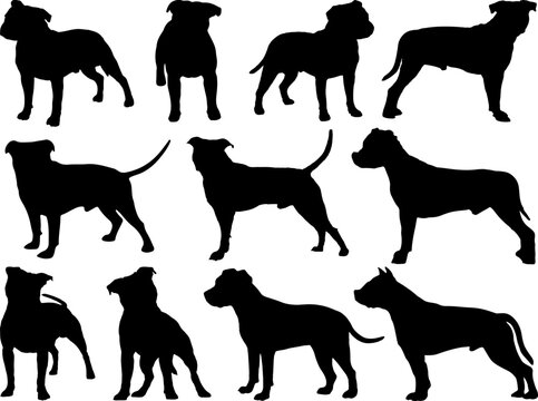 Set of Staffordshire Bull Terrier Dog Silhouette