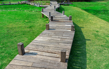 Wooden path, wooden walkway with green grass in the nature on a sunny day.