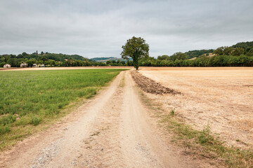 Via Francigena - dirt road next to Costamezzana (Noceto), Province of Parma, Emilia-Romagna, Italy