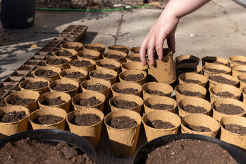 Hand grabbing one item from rows of peat pots