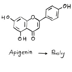 Chemical structures in food and what we eat every day